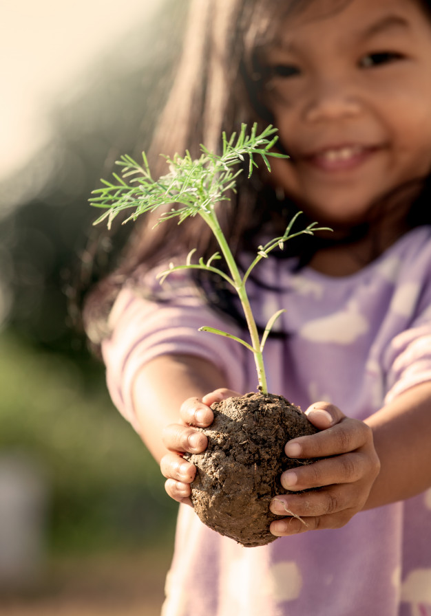 Charity Endowments, Charity Donations, Financial Advisors, How To Start An Endowment, Family Endowment Charity Endowments, Charity Donations, Financial Advisors, How To Start An Endowment, Family Endowment